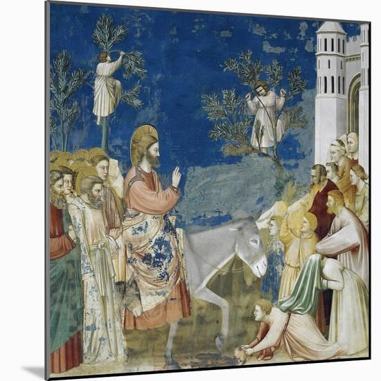 Jesus' Entry into Jerusalem, Detail from Life and Passion of Christ-Giotto di Bondone-Mounted Giclee Print