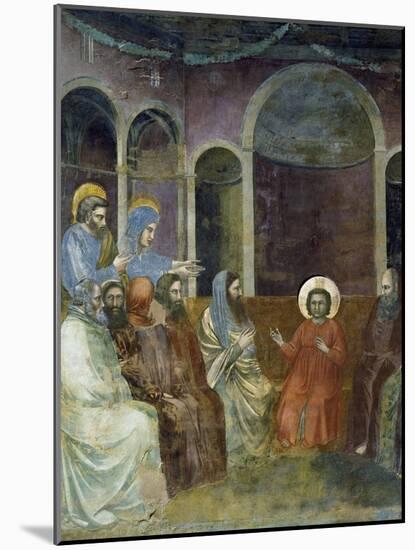 Jesus in Temple Among Doctors, Detail from Life and Passion of Christ-Giotto di Bondone-Mounted Giclee Print