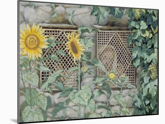 Jesus Looking Through a Lattice with Sunflowers, Illustration for 'The Life of Christ', C.1886-96-James Tissot-Mounted Giclee Print