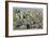 Jesus Passing Through the Villages on His Way to Jerusalem-James Tissot-Framed Giclee Print