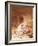 Jesus Reviving Jairus's Daughter-William Brassey Hole-Framed Giclee Print