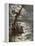 Jesus Walking Upon the Sea-William Brassey Hole-Framed Premier Image Canvas