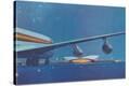 Stretched Canvas Print