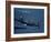 Jet Carrier Landing: Navy's Jet Planes on Aircraft Carrier "USS Boxer"-John Florea-Framed Photographic Print