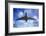 Jet Flight, Composite Image-Victor De Schwanberg-Framed Photographic Print