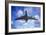 Jet Flight, Composite Image-Victor De Schwanberg-Framed Photographic Print