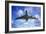 Jet Flight, Composite Image-Victor De Schwanberg-Framed Photographic Print