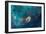 Jet in Carina WFC3 UVIS Full Field Space Photo-null-Framed Art Print