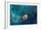 Jet in Carina WFC3 UVIS Full Field Space Photo-null-Framed Art Print