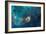 Jet in Carina WFC3 UVIS Full Field Space Photo-null-Framed Art Print