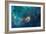 Jet in Carina WFC3 UVIS Full Field Space Photo-null-Framed Premium Giclee Print