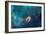 Jet in Carina WFC3 UVIS Full Field Space Photo-null-Framed Premium Giclee Print