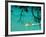 Jet Ski on the Sea at Konnos Beach, Protaras, Cypress-Petros Karadjias-Framed Photographic Print