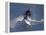 Jet Skier-null-Framed Premier Image Canvas