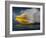 Jet Skier-null-Framed Photographic Print