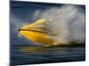 Jet Skier-null-Mounted Photographic Print