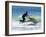 Jet Skiier, Gold Coast, Queensland, Australia-David Wall-Framed Photographic Print