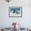 Jet Skiier, Gold Coast, Queensland, Australia-David Wall-Framed Photographic Print displayed on a wall
