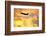 Jet Taking Off from Seatac International Airport-Paul Souders-Framed Photographic Print