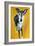 Jet-Sally Muir-Framed Giclee Print