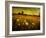 Jetnation-Tim Kahane-Framed Photographic Print