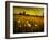 Jetnation-Tim Kahane-Framed Photographic Print