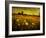 Jetnation-Tim Kahane-Framed Photographic Print