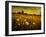 Jetnation-Tim Kahane-Framed Photographic Print