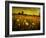 Jetnation-Tim Kahane-Framed Photographic Print