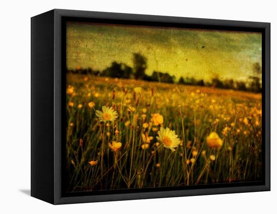 Jetnation-Tim Kahane-Framed Premier Image Canvas