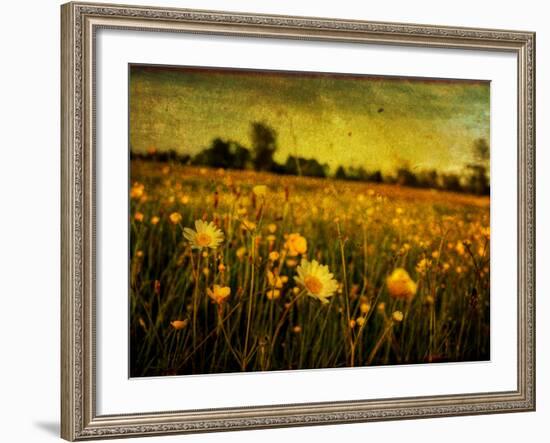 Jetnation-Tim Kahane-Framed Photographic Print