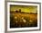 Jetnation-Tim Kahane-Framed Photographic Print