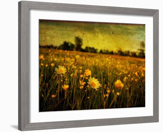 Jetnation-Tim Kahane-Framed Photographic Print