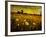 Jetnation-Tim Kahane-Framed Photographic Print