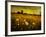 Jetnation-Tim Kahane-Framed Photographic Print