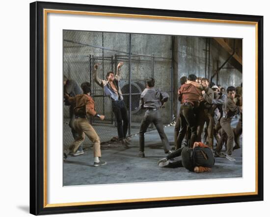 Jets and Sharks Fight, Scene from West Side Story-Gjon Mili-Framed Premium Photographic Print