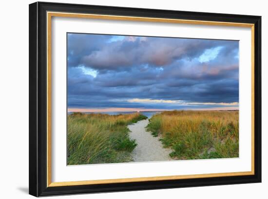 Jetties Beach Path-Katherine Gendreau-Framed Photographic Print