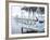 Jetty and Hammocks, Caye Caulker, Belize-Russell Young-Framed Photographic Print