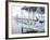 Jetty and Hammocks, Caye Caulker, Belize-Russell Young-Framed Photographic Print