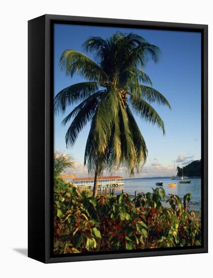 Jetty and Palm Tree, Villa Bay, Young Island, St. Vincent, Windward Islands, West Indies, Caribbean-Richardson Rolf-Framed Premier Image Canvas