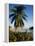 Jetty and Palm Tree, Villa Bay, Young Island, St. Vincent, Windward Islands, West Indies, Caribbean-Richardson Rolf-Framed Premier Image Canvas