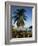 Jetty and Palm Tree, Villa Bay, Young Island, St. Vincent, Windward Islands, West Indies, Caribbean-Richardson Rolf-Framed Photographic Print