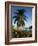 Jetty and Palm Tree, Villa Bay, Young Island, St. Vincent, Windward Islands, West Indies, Caribbean-Richardson Rolf-Framed Photographic Print