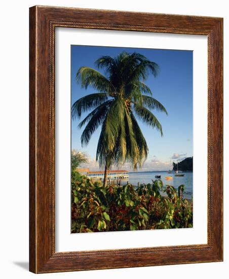 Jetty and Palm Tree, Villa Bay, Young Island, St. Vincent, Windward Islands, West Indies, Caribbean-Richardson Rolf-Framed Photographic Print