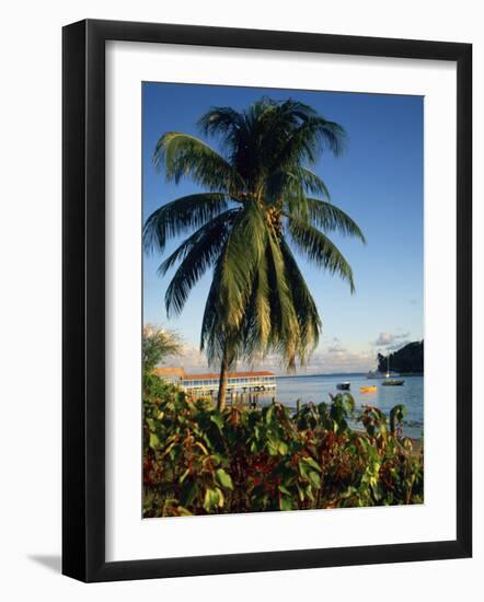 Jetty and Palm Tree, Villa Bay, Young Island, St. Vincent, Windward Islands, West Indies, Caribbean-Richardson Rolf-Framed Photographic Print