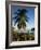 Jetty and Palm Tree, Villa Bay, Young Island, St. Vincent, Windward Islands, West Indies, Caribbean-Richardson Rolf-Framed Photographic Print