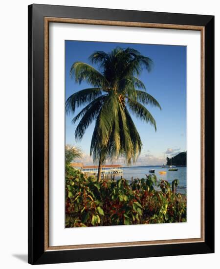 Jetty and Palm Tree, Villa Bay, Young Island, St. Vincent, Windward Islands, West Indies, Caribbean-Richardson Rolf-Framed Photographic Print