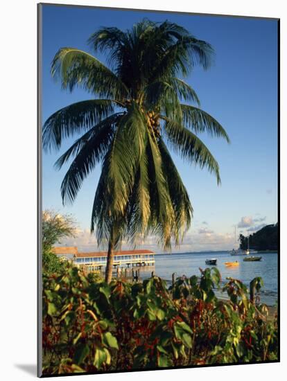 Jetty and Palm Tree, Villa Bay, Young Island, St. Vincent, Windward Islands, West Indies, Caribbean-Richardson Rolf-Mounted Photographic Print