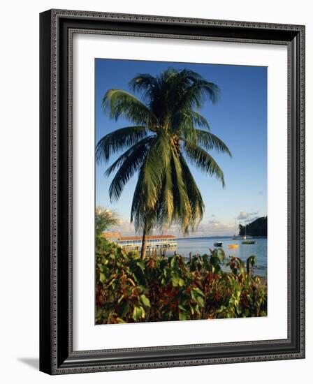 Jetty and Palm Tree, Villa Bay, Young Island, St. Vincent, Windward Islands, West Indies, Caribbean-Richardson Rolf-Framed Photographic Print