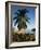 Jetty and Palm Tree, Villa Bay, Young Island, St. Vincent, Windward Islands, West Indies, Caribbean-Richardson Rolf-Framed Photographic Print